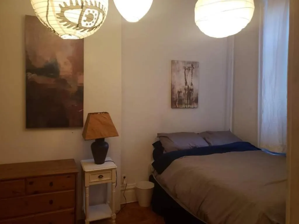 Homestay Private Room In East Village Apartment New York United States